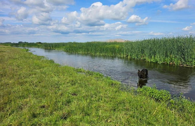 Countryside Escape With Sauna - Foto 30