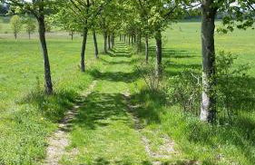 Harzquartier - Foto 52