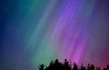 Odli Glamping - Deri - Photo 12