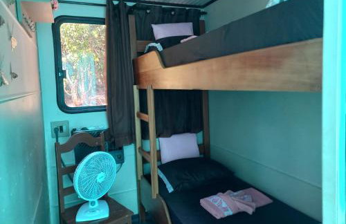 Barco Casa Pantanal Toca da Onça - Photo 12