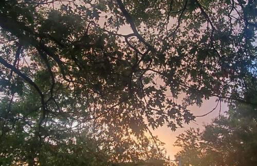 Cozy, Cheerful & Charming Cabin - Historic Julian - Foto 21