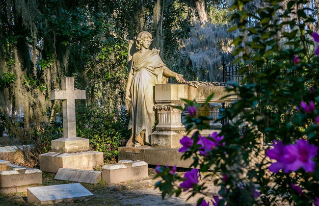 Excursión a Wormsloe y el cementerio Bonaventure - Foto 4