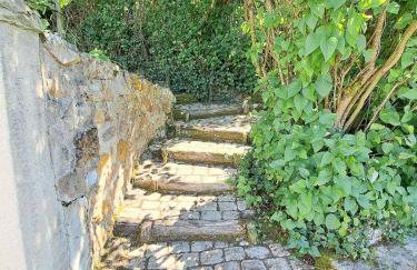 Le chant du troglodyte - Foto 33