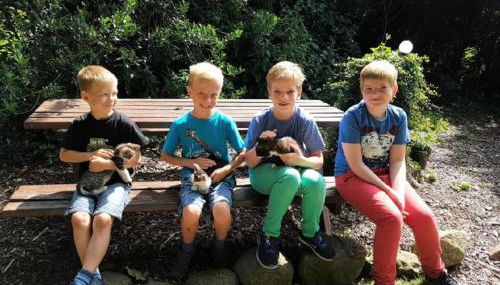 Ferienhof Albert - Foto 3