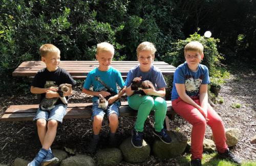 Ferienhof Albert - Foto 3