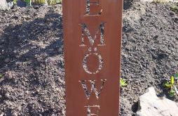 Seemöwe 1 - Foto 27