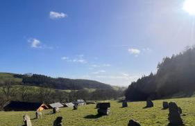 Cherry Cabin - Little Log Cabin in Wales - Foto 17
