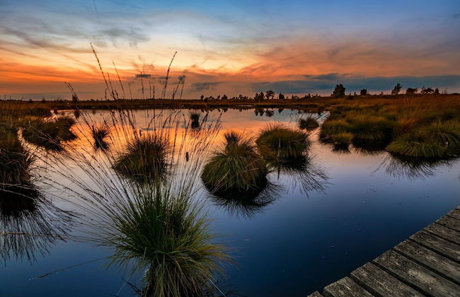 Spacious Holiday Home in Chodes With Sauna - Foto 77