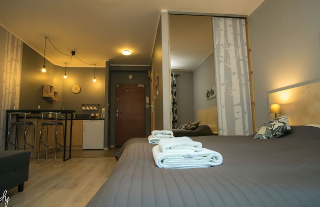 Apartamenty Sedinum - Foto 32