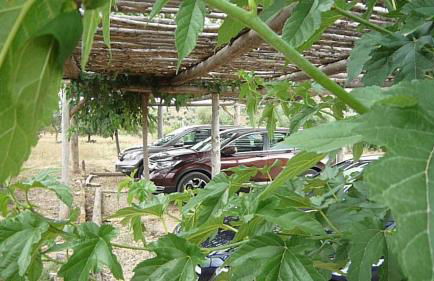 Hort de L'Aubert - Foto 63