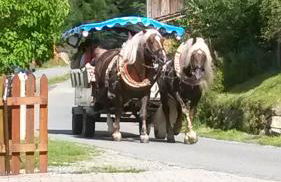 Ferienwohnung Steinbeisser - Foto 11