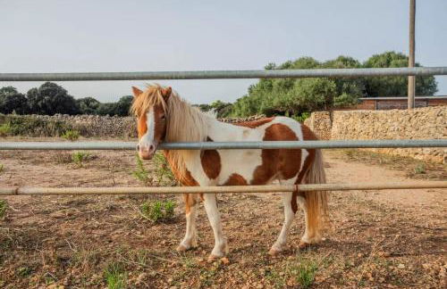Menorca Agroturismo Llimpet - Foto 26