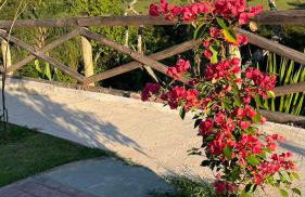 Chalé Paraíso Guararema 1 - Foto 10