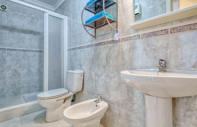 Eucaliptus - Foto 22