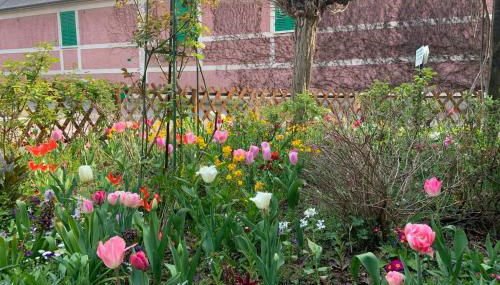 Le Clos de l'Eglise - Blanche - Foto 5