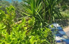 Casa Colomba Sant'Angelo - Foto 15