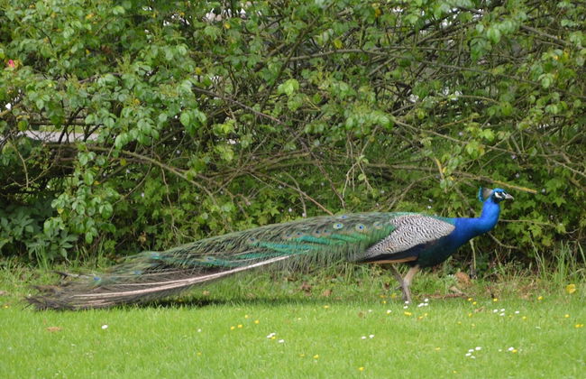 Holiday Home in a Historic Building Near Montreuil - Foto 51