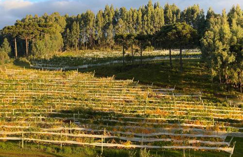 Tenuta Bergamaschi - Foto 39