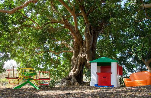 Stella del Rio - Foto 31