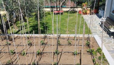 Lena's Family Home - Foto 2, Garden, Garden view