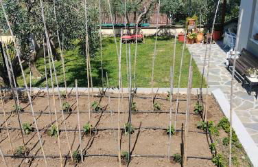 Lena's Family Home - Foto 2