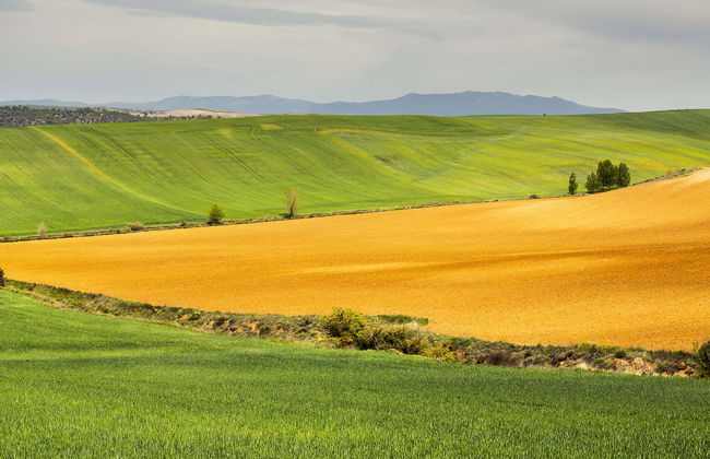 Tour in Brihuega - Photo 1