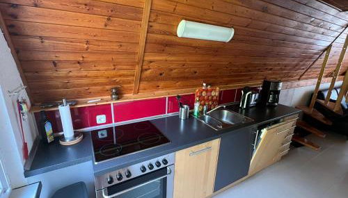 Ostseeferienhaus Finni - Foto 5, stove, dishwasher, toaster, minibar