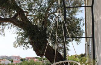 Apartments Solis, 50 m from the sea - Jakišnica - Photo 11