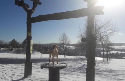 Fewo mit Fichtelberg und Keilbergblick - Foto 14