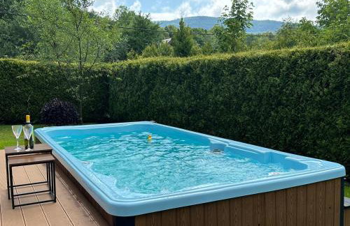 BESKIDIUM - uroczy dom Brenna - Foto 38