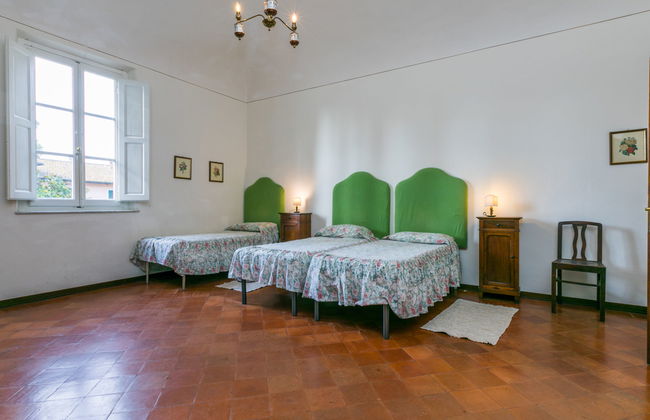 Scaletta + GIrasole - Foto 26