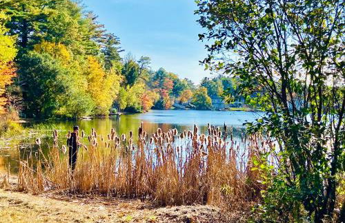 Clear Pond Suite - Photo 57