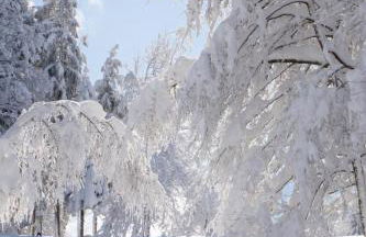 Ferienwohnung Katrin Spindler - Photo 12
