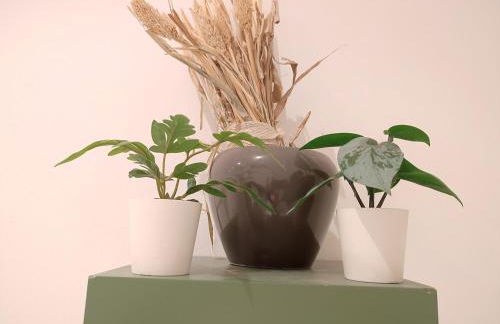 Jungle in Kelkheim for 4 Persons 24 h check in - Photo 38