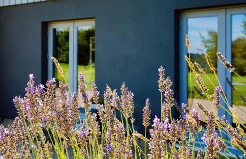 Charmantes Ferienhaus am Nationalpark Eifel - Foto 33