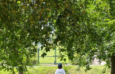 Cherrytree Cottage 1840 - Foto 73