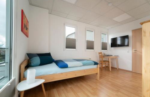 Pension Schweizer - Foto 19