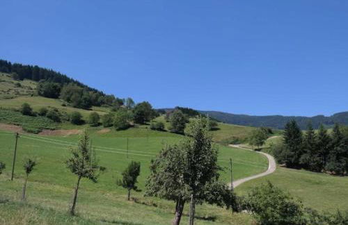 Ferienwohnungen Maierhof Oberried - Foto 45