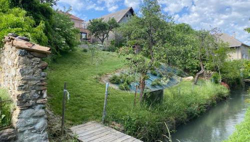 La petite maison Basse Correo - Photo 3, Garden