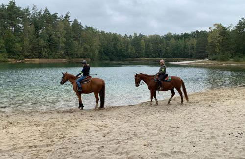 Wassermühle Habighorst - Foto 33