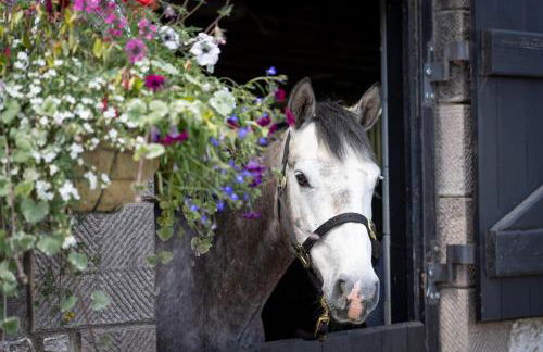 PEAK DISTRICT ROMANTIC Courtyard Loft, with Outdoor Japanese Whirlpool Bath - Foto 31