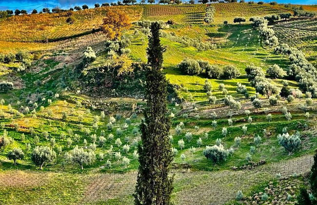 Gero-fotis Guesthouse - Upper Floor Superb View - Foto 38