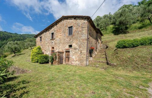 Fattoria di Pietrabuona - Foto 4