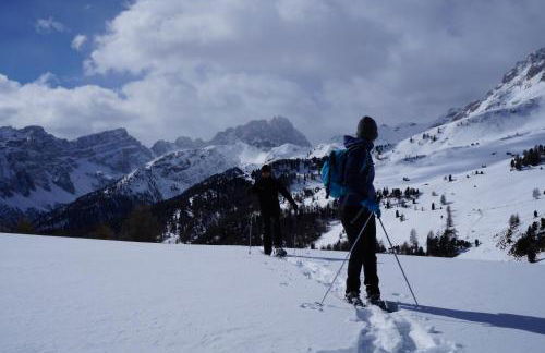 Ciasa Medalghes - Photo 30