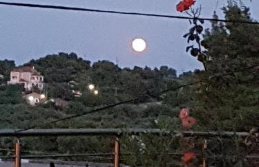 Timos Villas - Foto 42