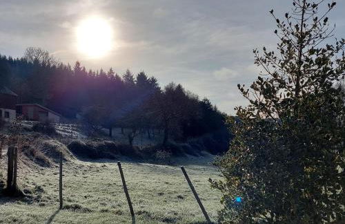 Kleine Jagdhütte - Photo 17