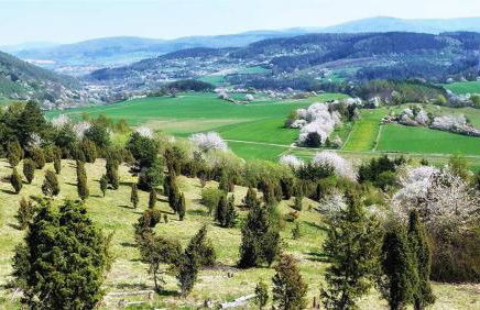 Balance Apartments by M&A - Superior Apartment Ferienwohnung Dohrenbach - Foto 12