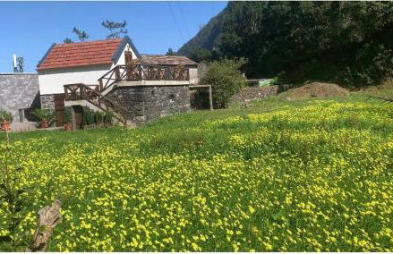 Mountain View Cottage - Foto 33