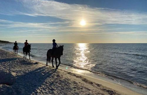 Zielony Domek z jacuzzi - Foto 37