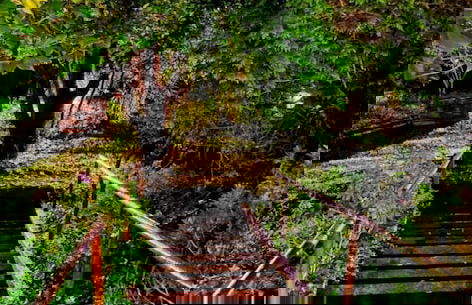 Impeccable 5 Bed House in Santa Cruz do Douro - Foto 38